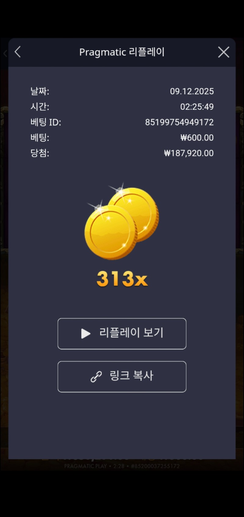 트래져 와일드 313