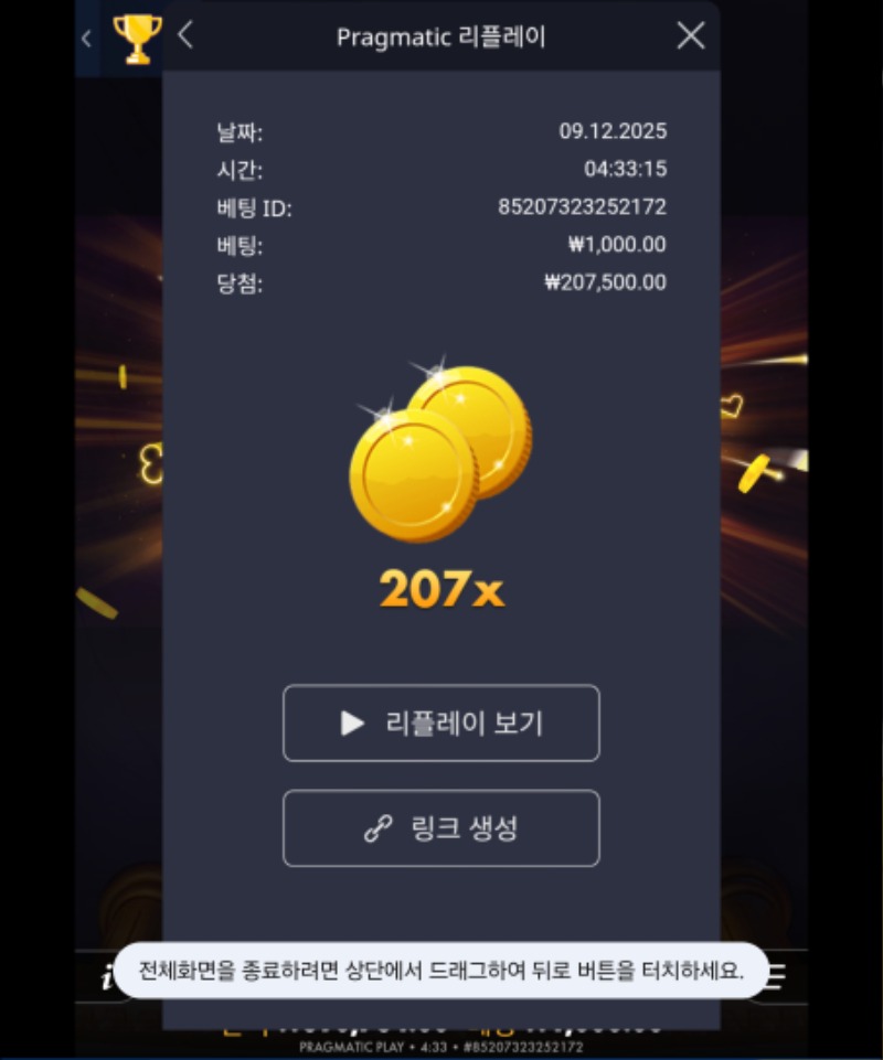 포춘에이스 207배