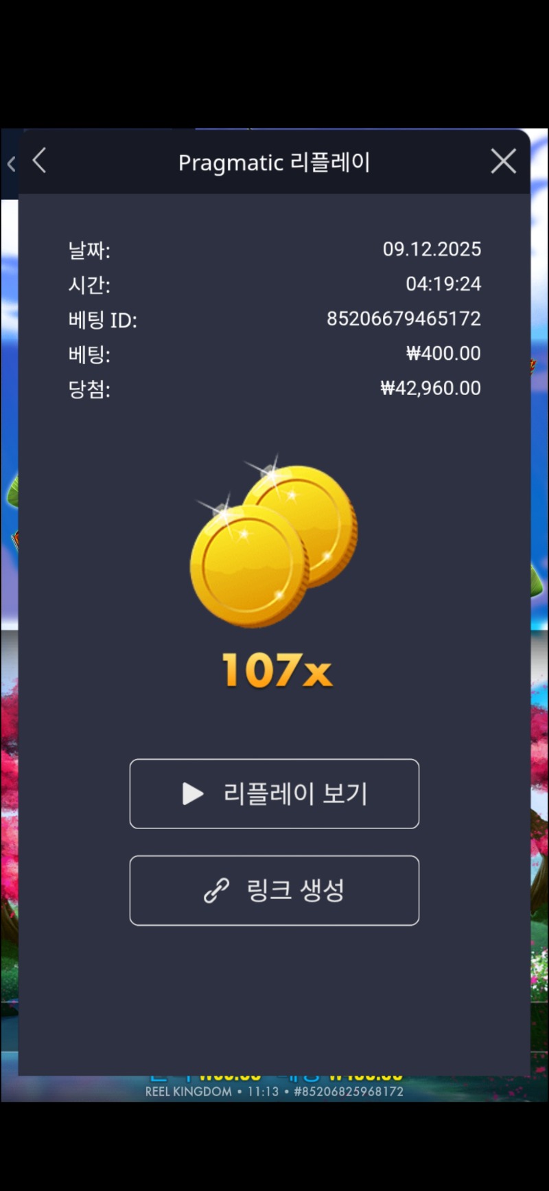 드레곤 배축제 107배