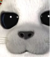 슬카에서???????????????????????????????