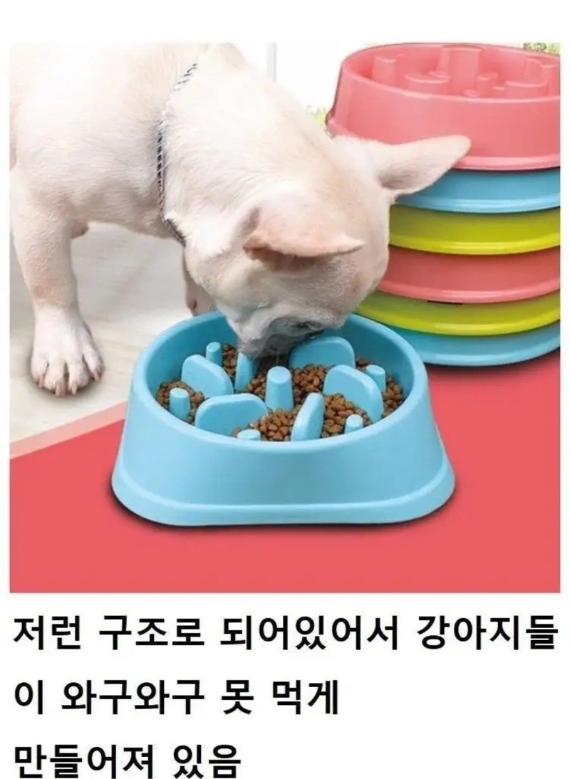 빨리 못먹게 만든 강아지 밥그릇