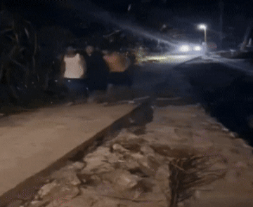 밤에 좁은 시골길은 진짜 조심하세요