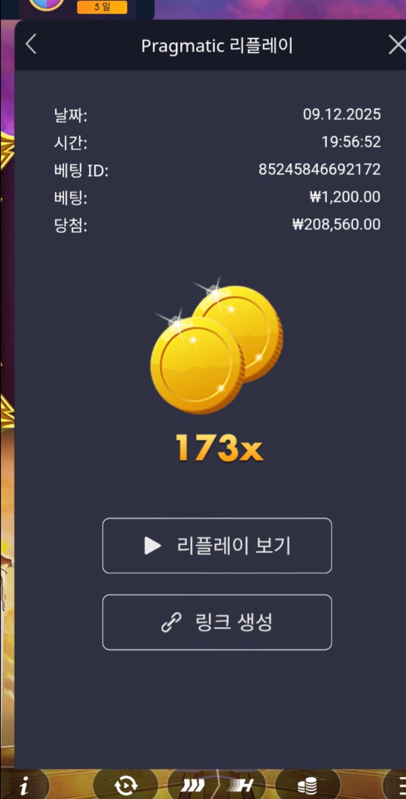 올천다이스 173배