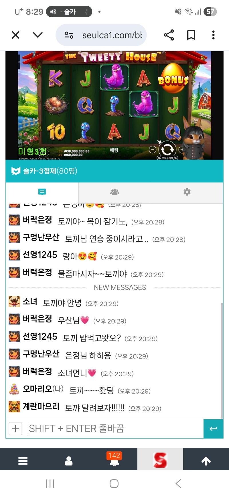 미니형난 ~~토끼