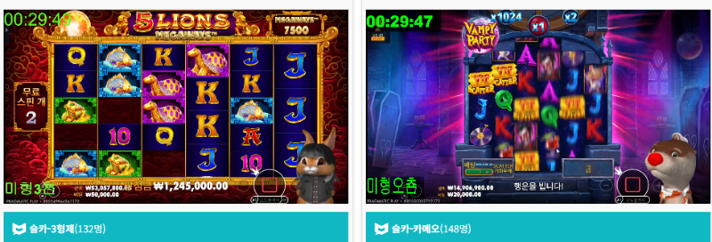 미니형난 동시시청 중