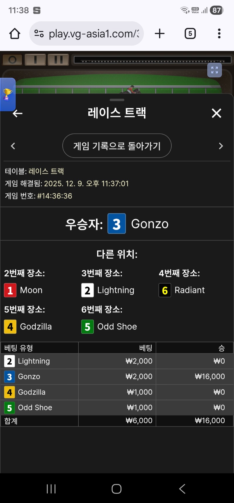 레이스 트렉 승