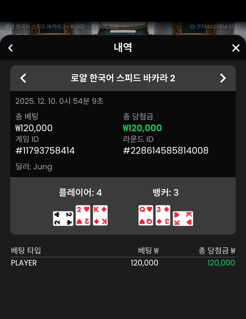 바카라 플레이어 승