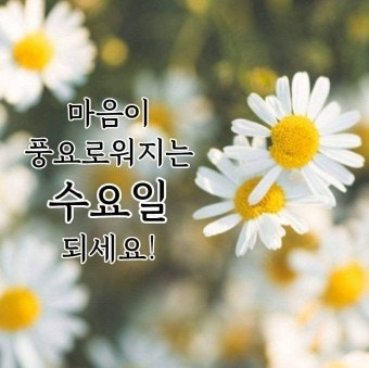 따뜻한♪수요일 보내세요.ღ 따뜻한♪수요일 보내세요.ღ