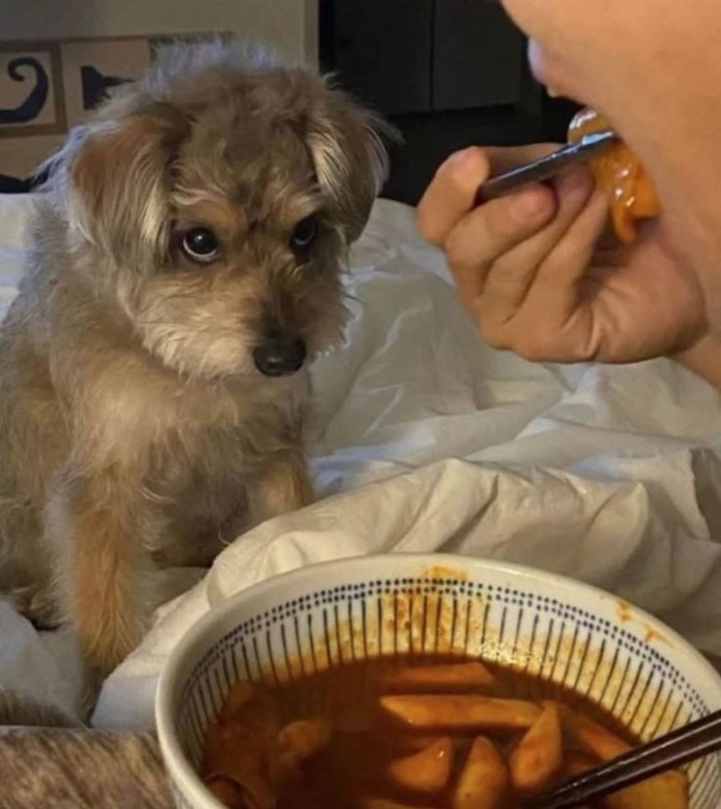 조만간싸울거같음