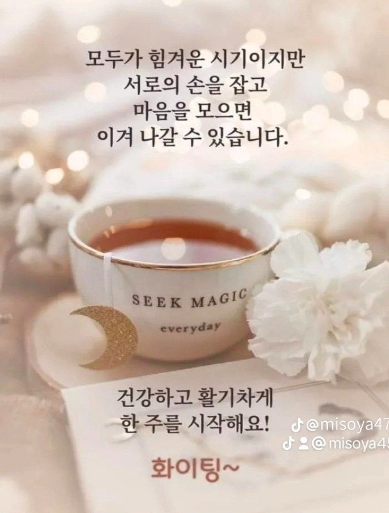 오후도 화이팅입니다