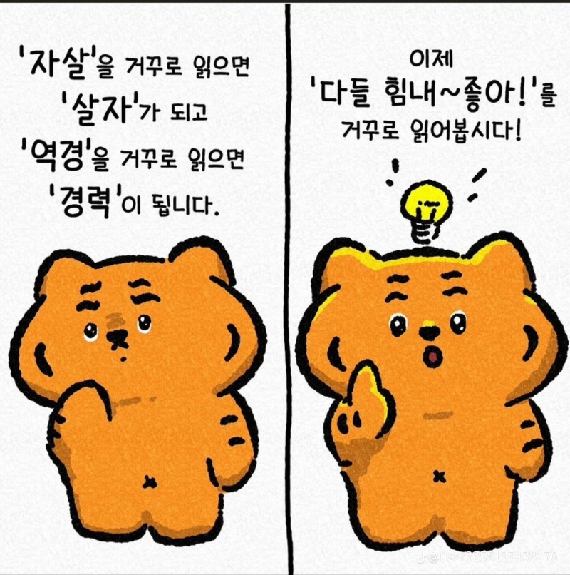 오후도 화이팅입니다