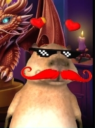 비스타님 추겜 슈웃!♡