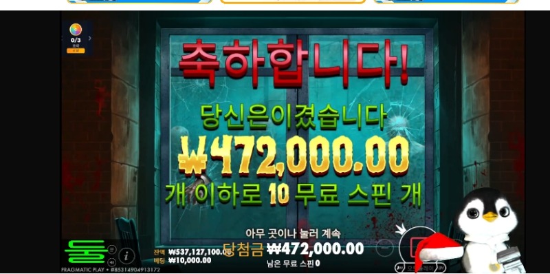 펭구르 최배비 현황