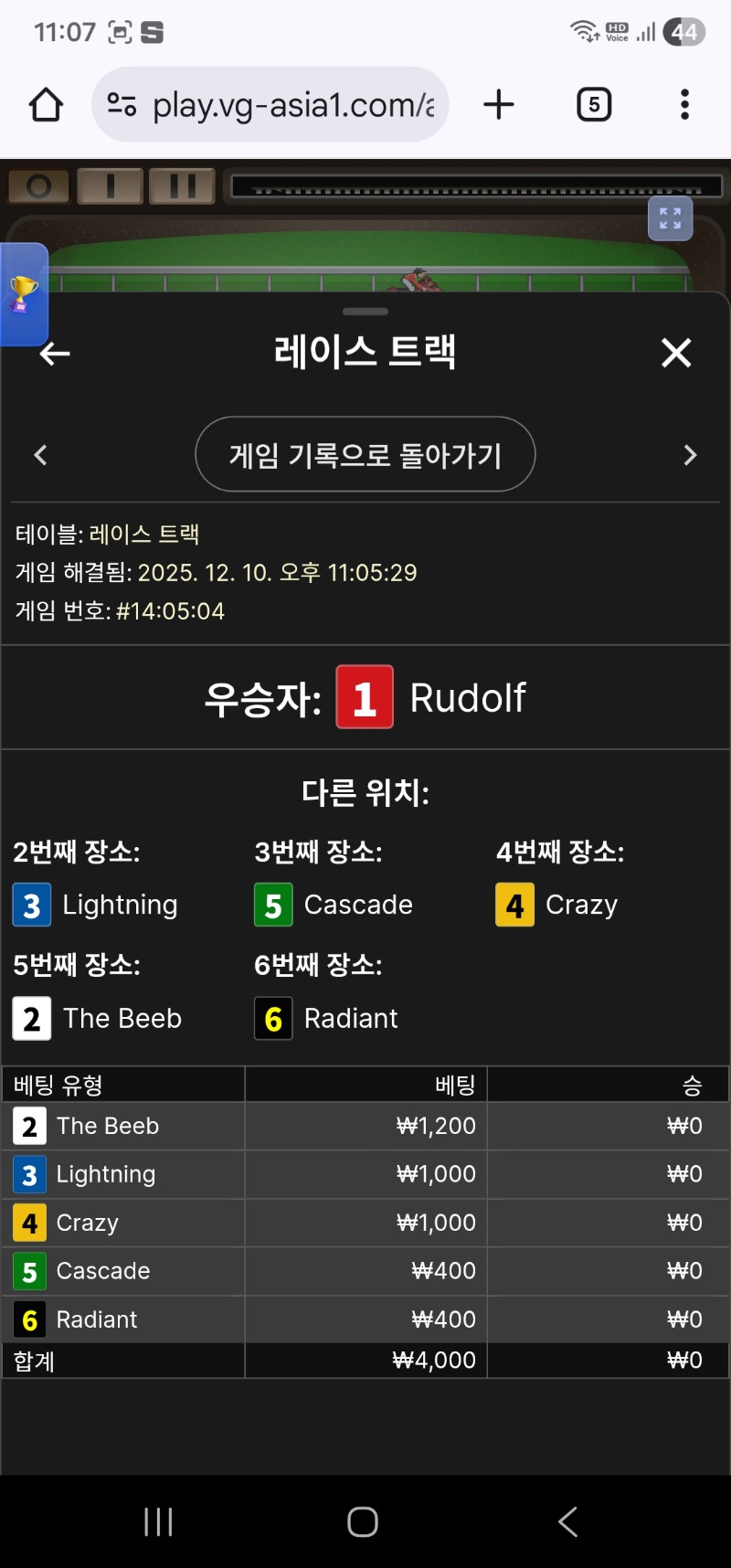 레이스 트렉 패