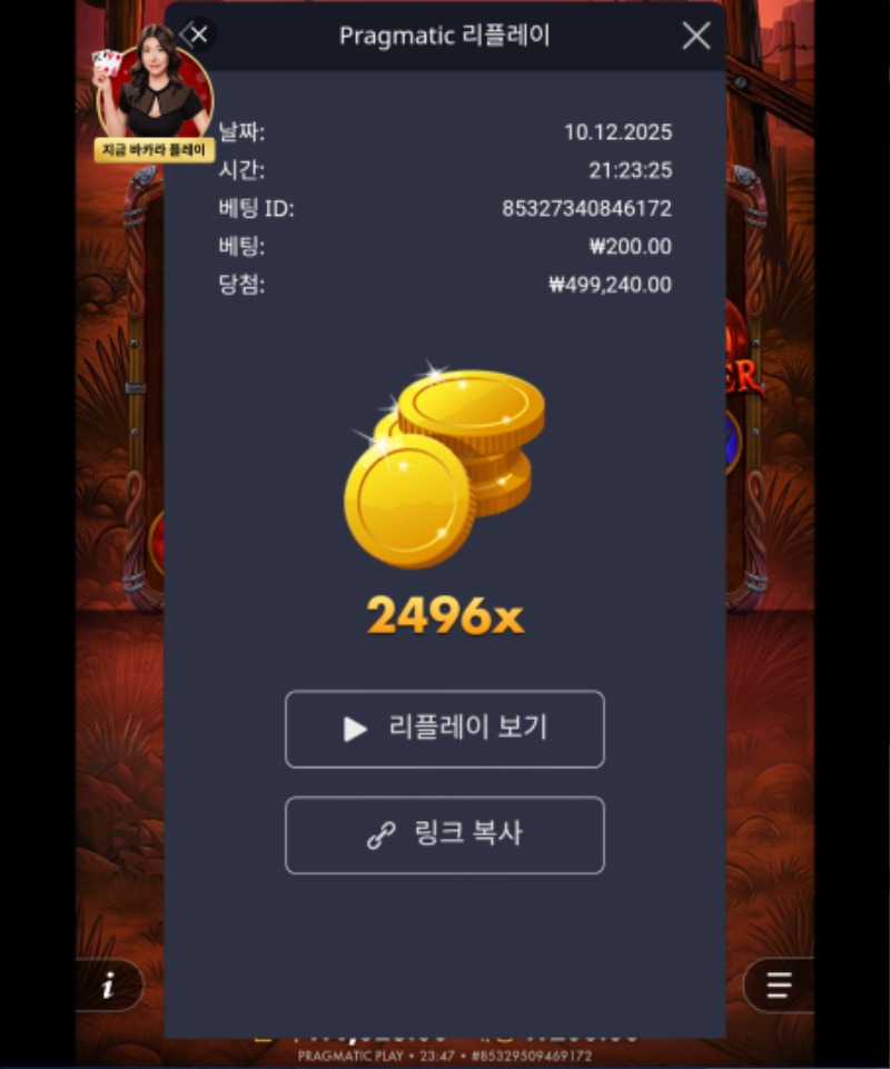 피의새벽 2496배