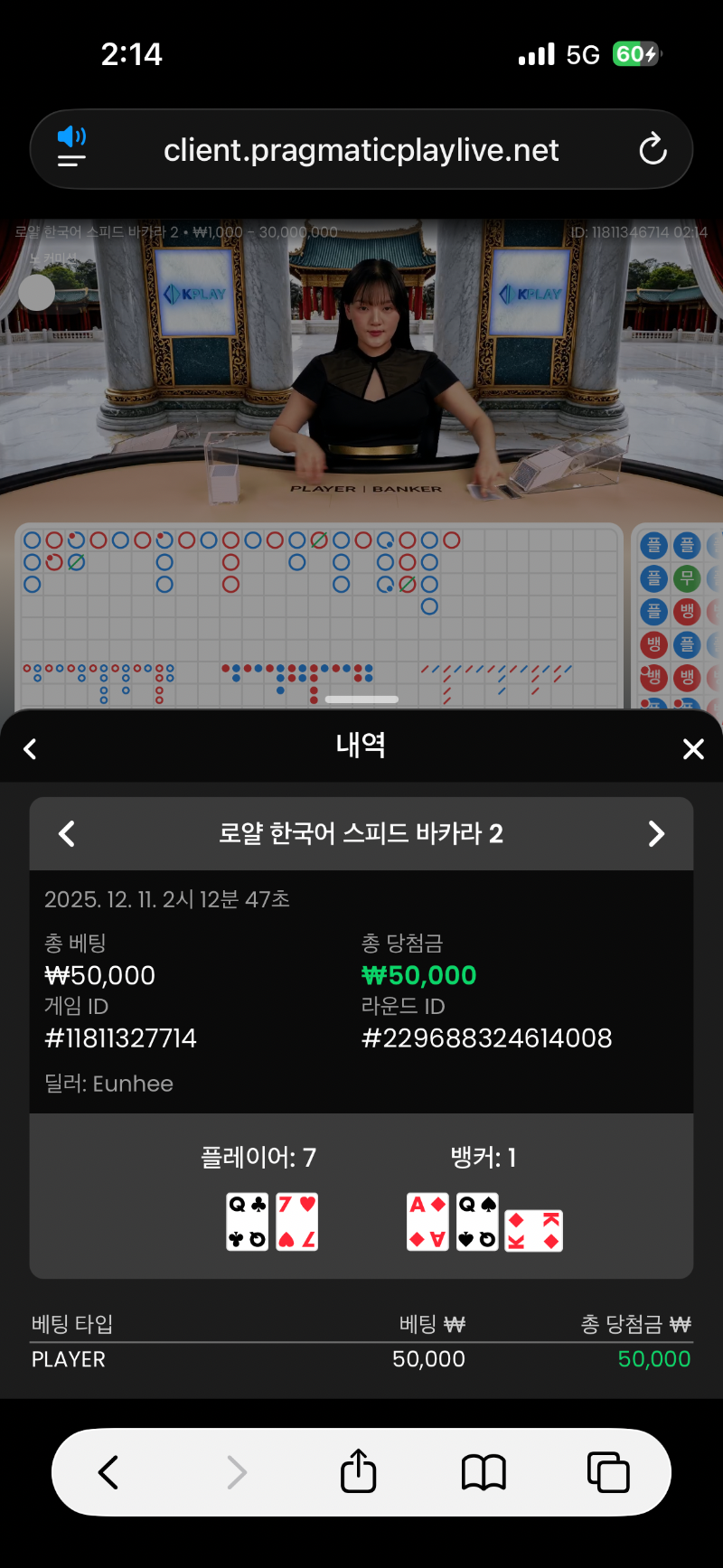 시카라 플레이어 2승