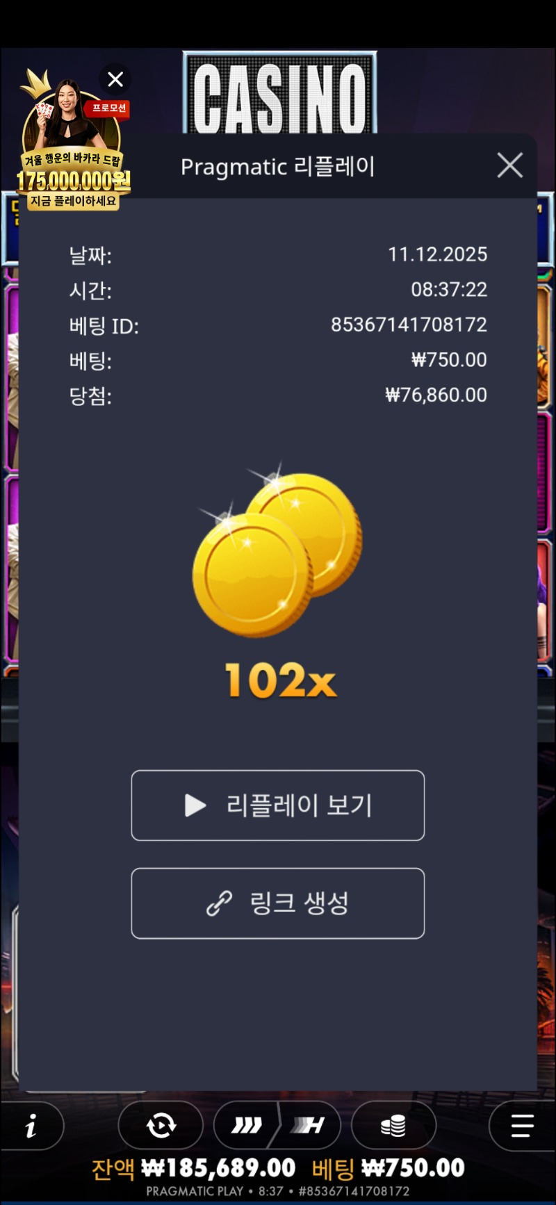 카지노헤이스트 102배