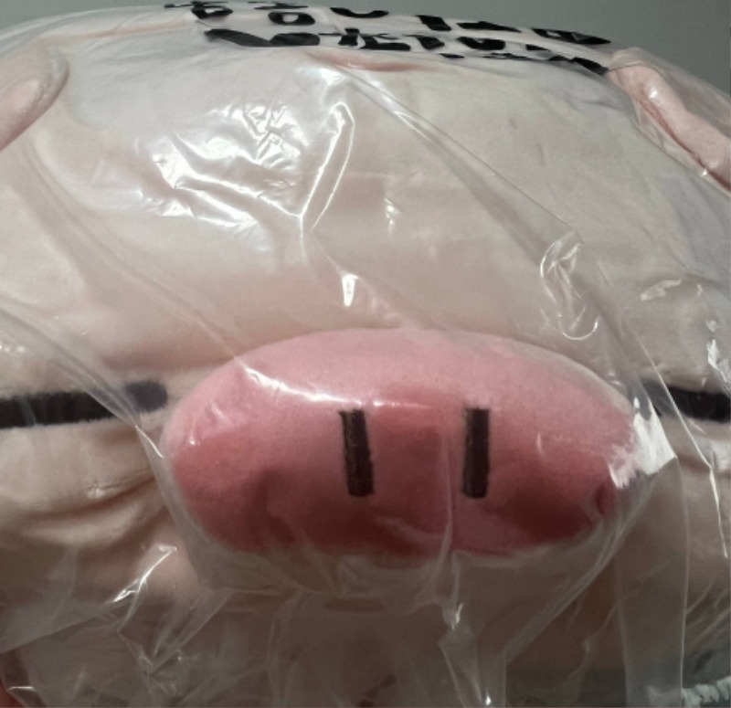 ❤️my love pig ❤️