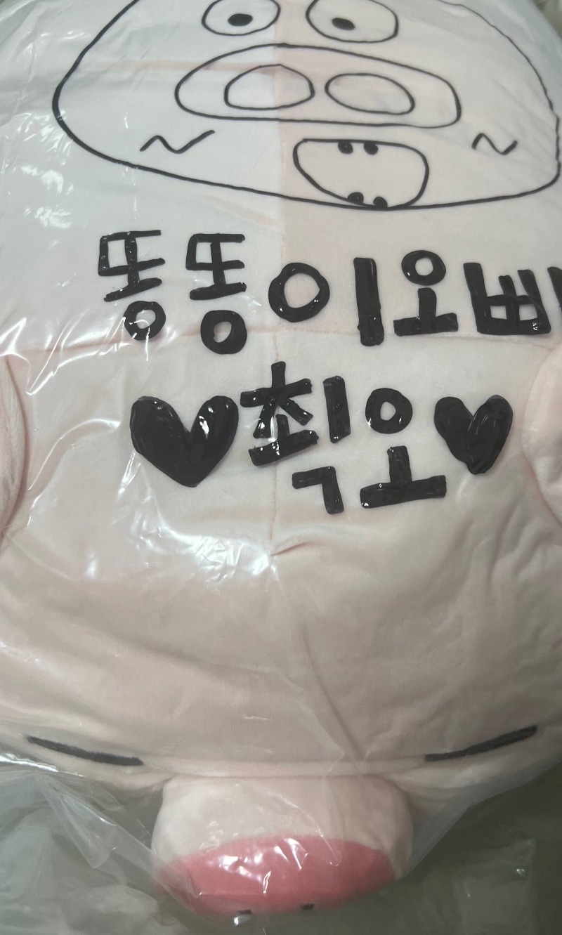 ❤️my love pig ❤️