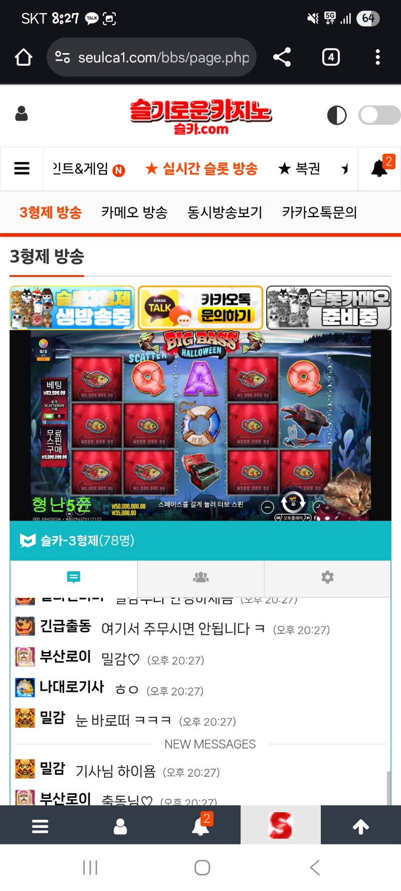 형난 시작전 양이아부지는 취침을..