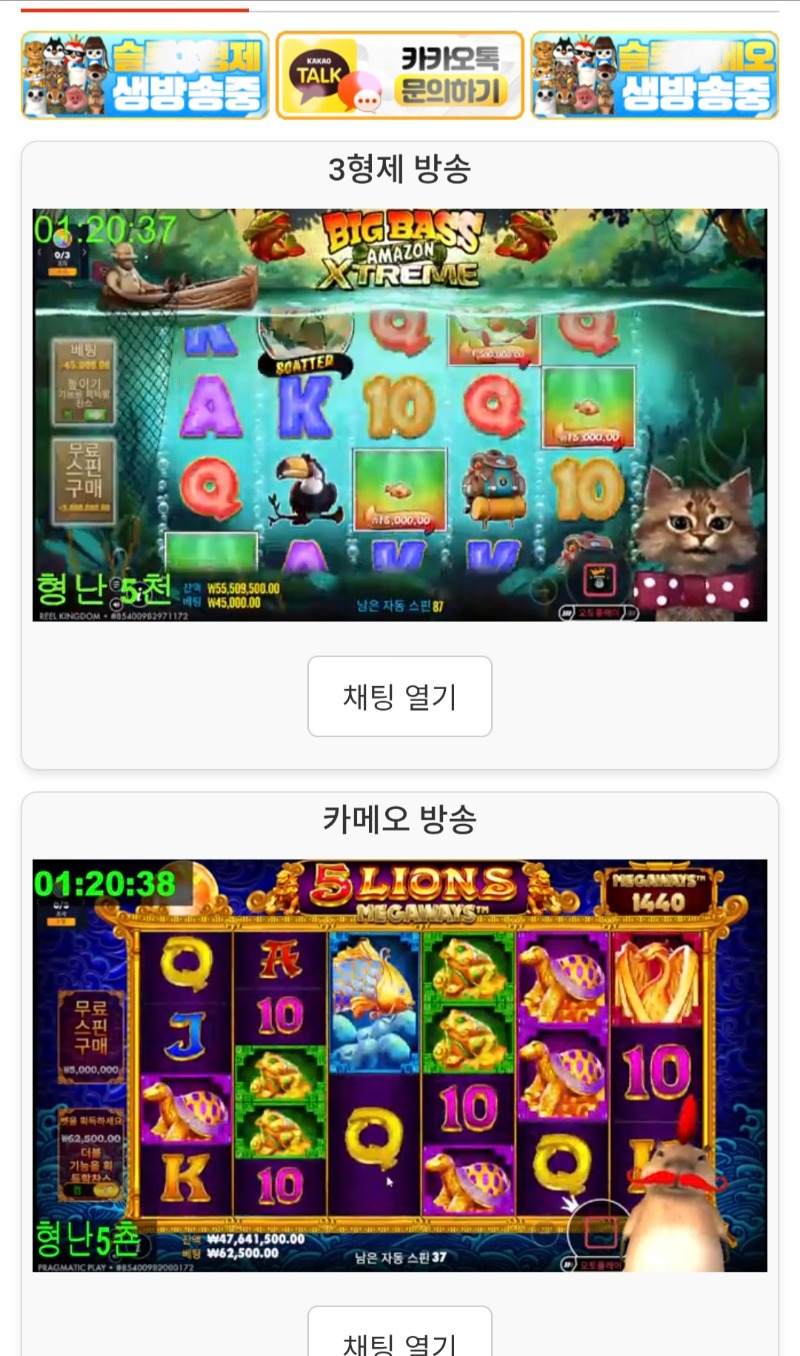 형난 동시 시청 가쫭