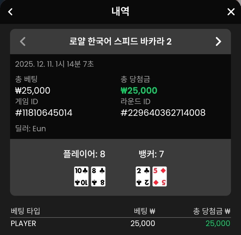 바카라 플레이어승