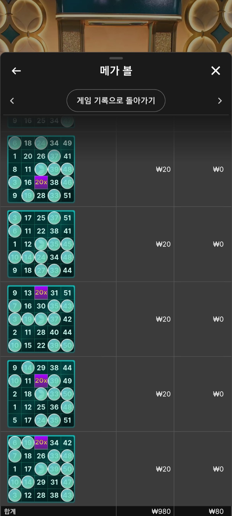 메가볼 49개 구매 꽝ㅎ