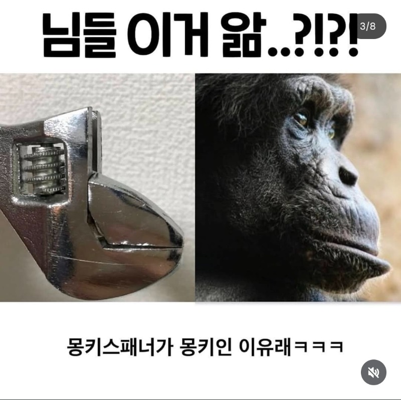 님들 이거앎?