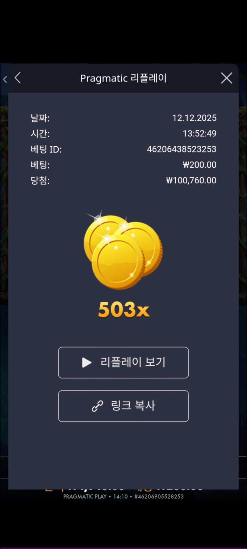 아마존503