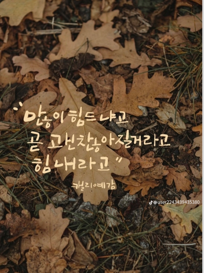 오늘도 춥네요 화이팅!!