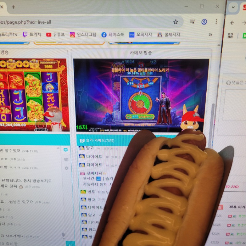 동시시청은 이렇게하는겁니다 달이한입♡ 토끼한입♡