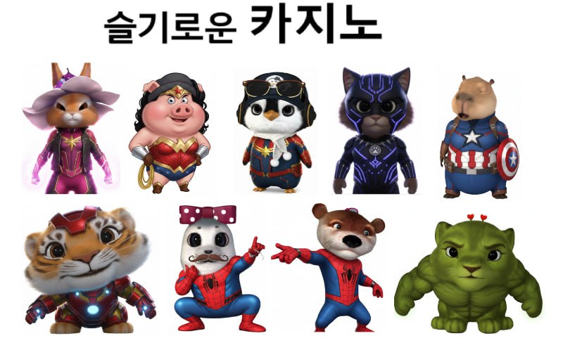 [12월13일] 금일 방송 스케줄입니다