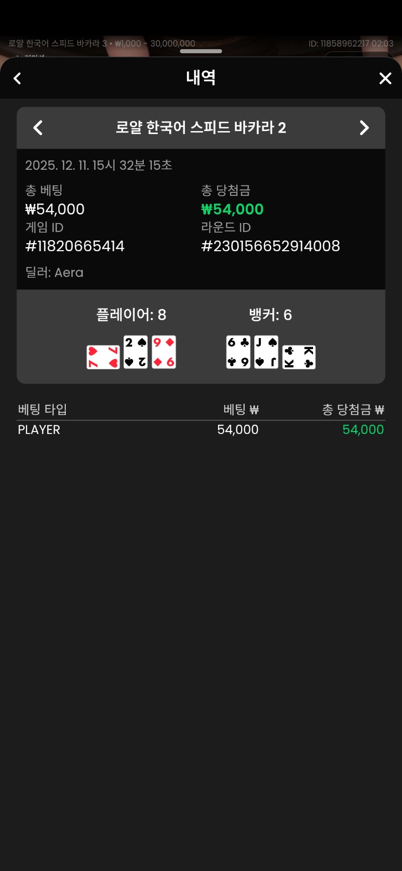 바카라 플레이어 승