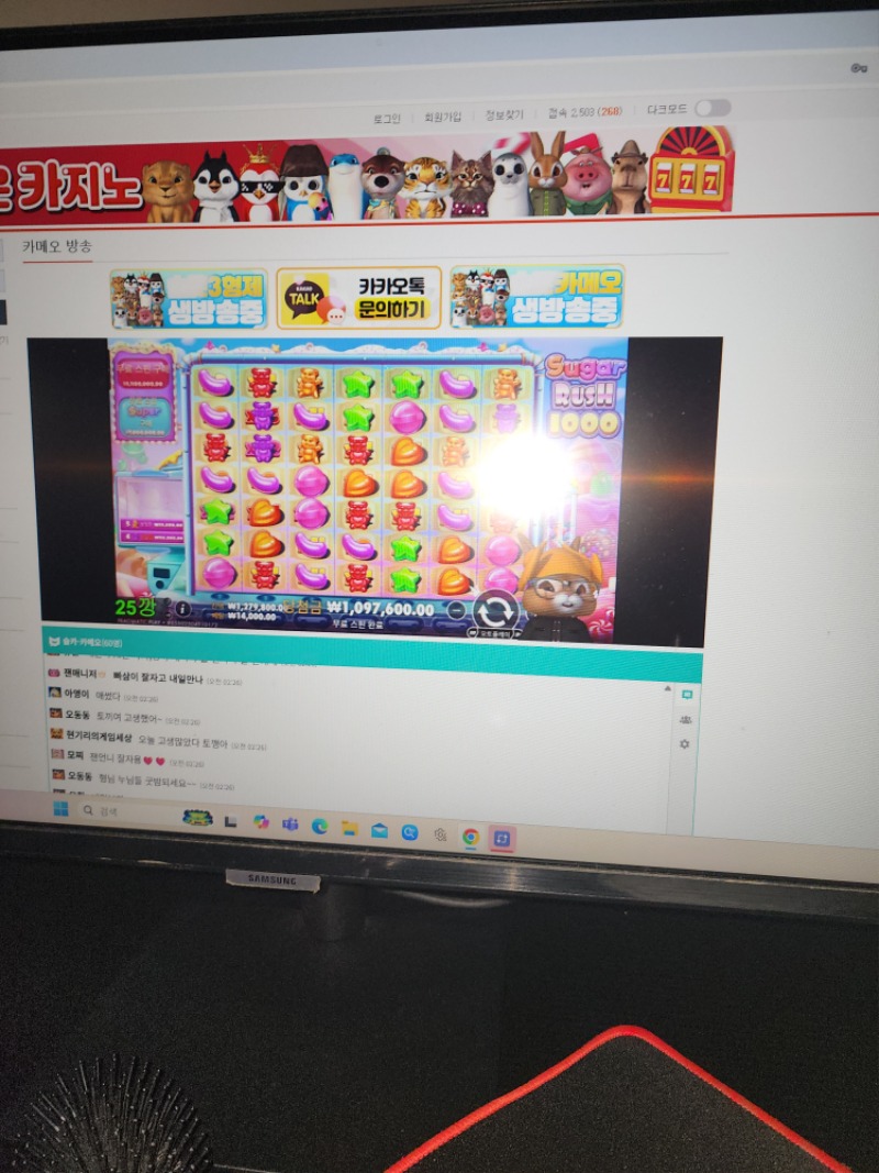 오늘 방송 토끼 마무리~