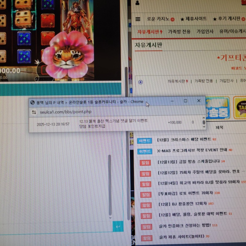 물개 맥스기념 선착슬포 우르르르르~요고지라