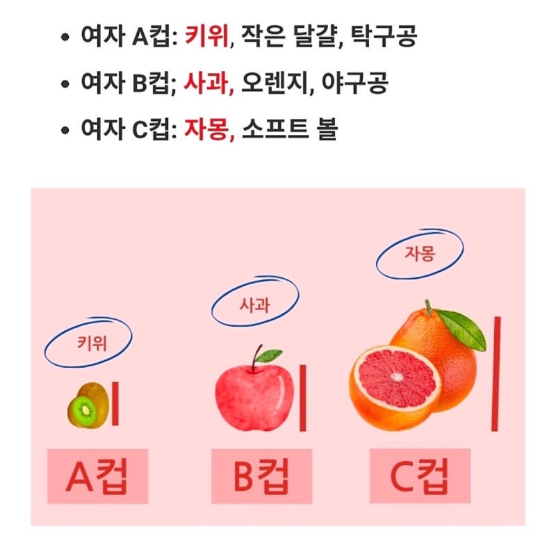 한의원에서 알려주는 사이즈 측정법