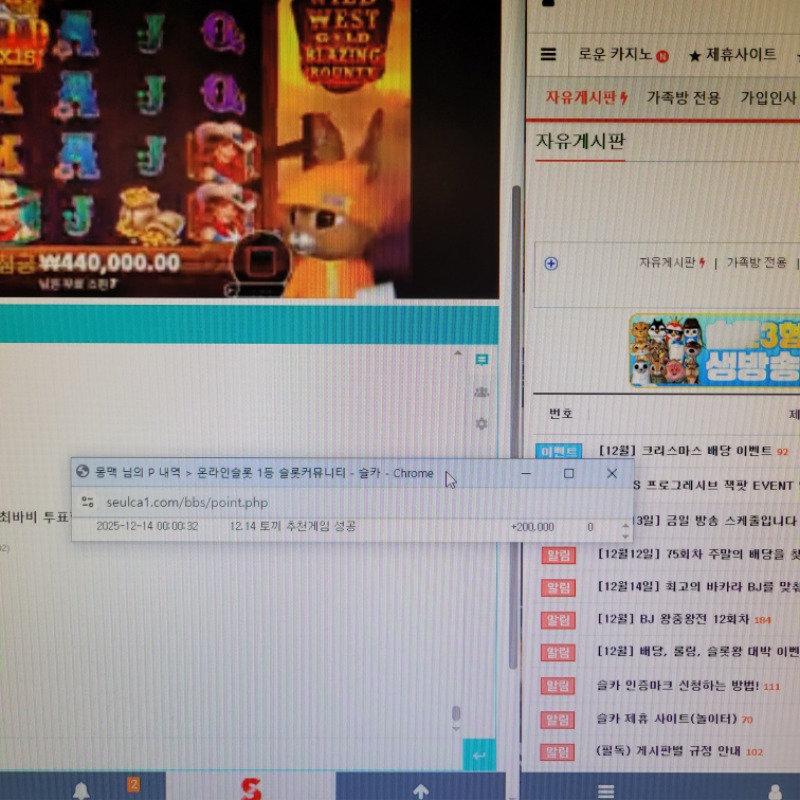 토끼 추겜슬포~