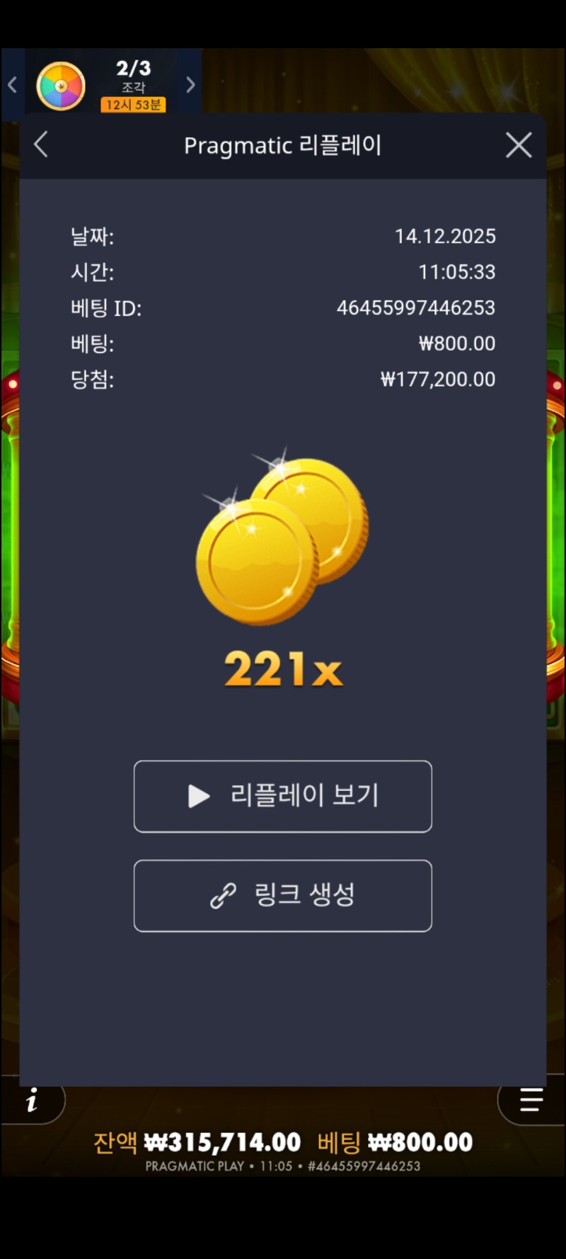 빙고 마니아221배