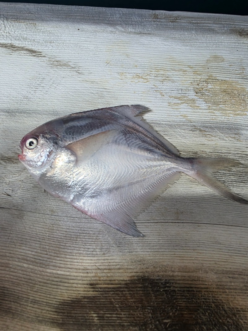 주문도없고 한갬해볼까. ㅋ