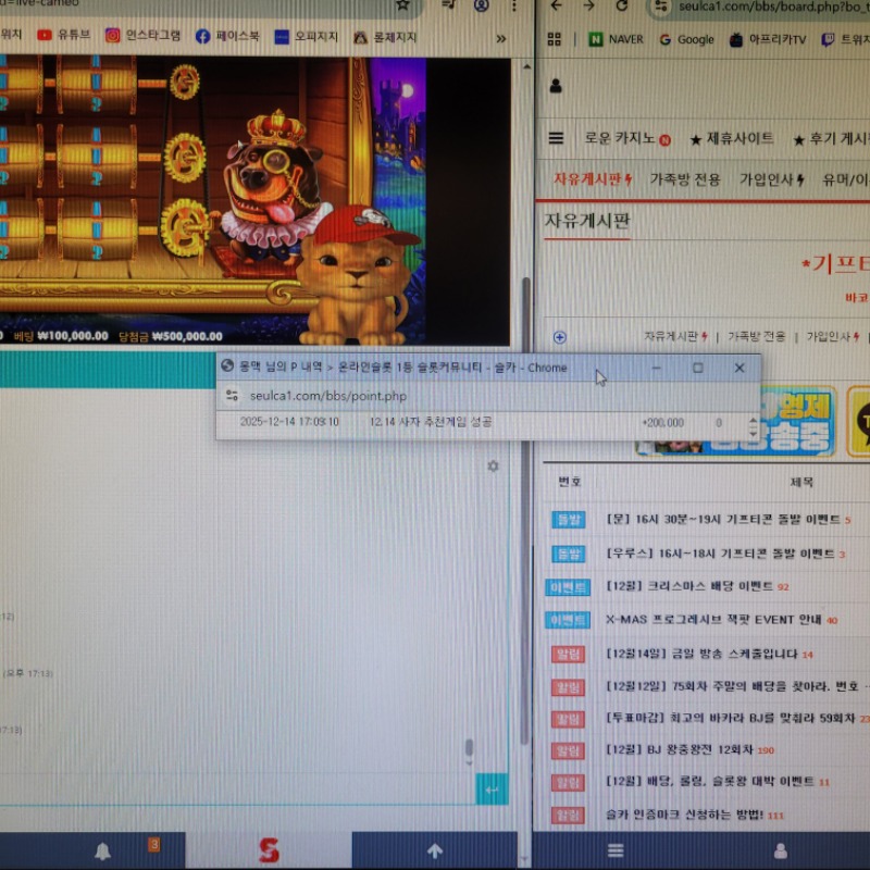 사자추겜 당첨슬포~!