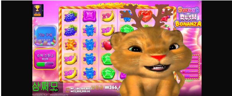 사자 수익 나이스샷