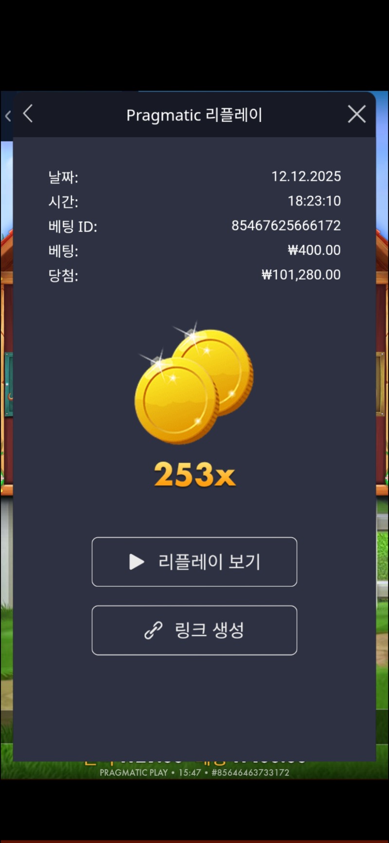 도그하우스 253배