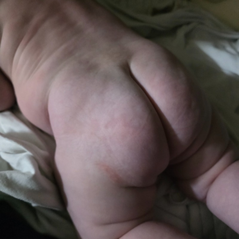 킁킁이 근황ㅋㅋㅋㄱ