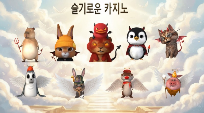 사자오빠 스케줄표