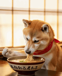 김치부침개 ver2.