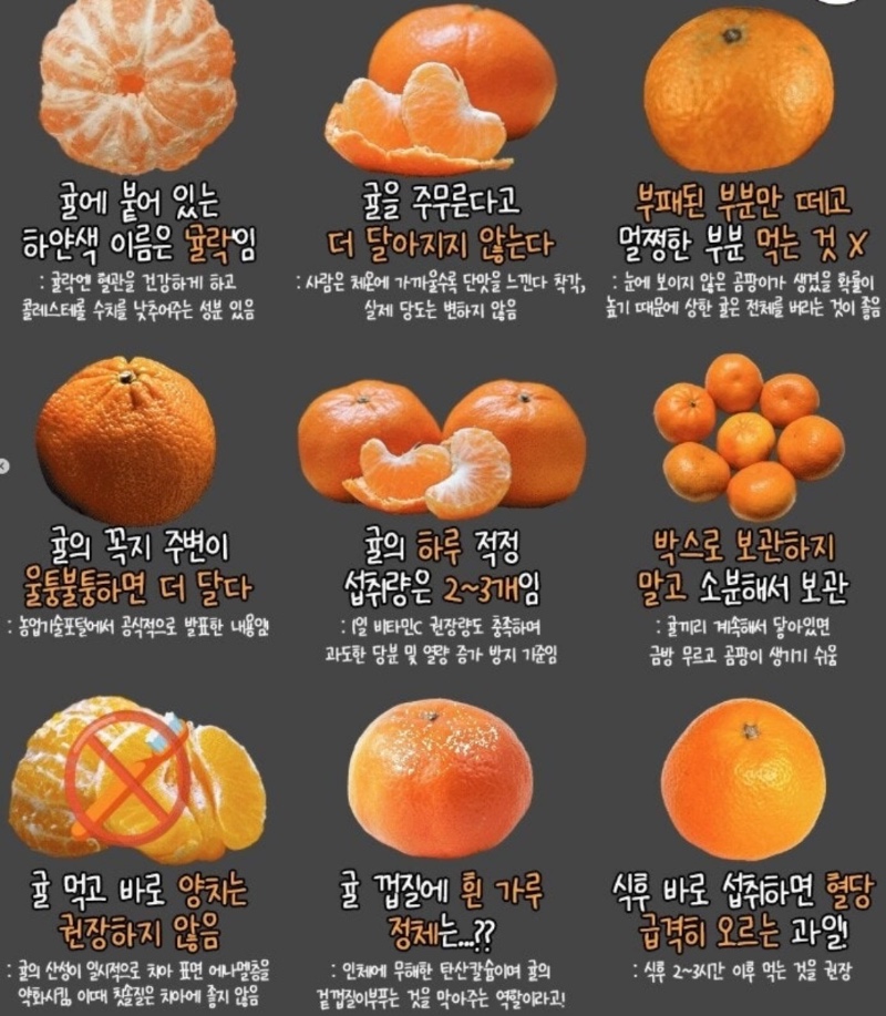 귤에 대한 상식 9가지