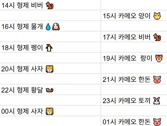 [12월17일] 금일 방송 스케줄입니다