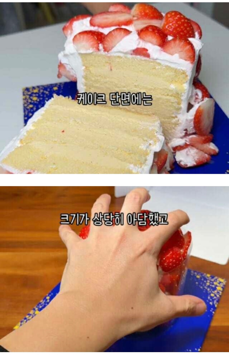 파리바게트 신상 케이크 3.9만