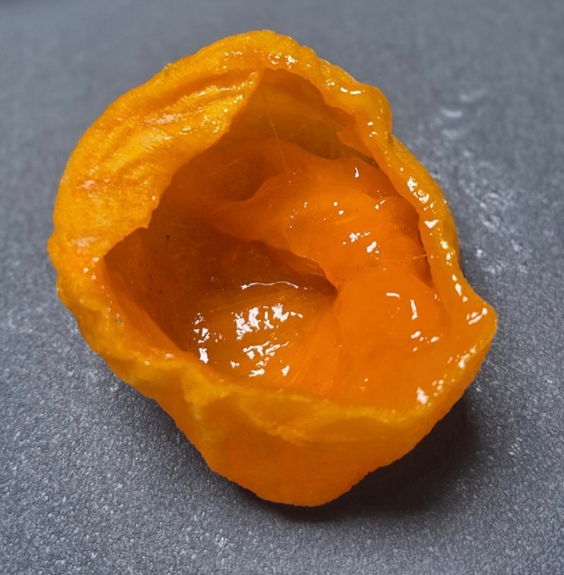 간메추: 딸품곶