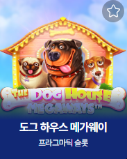 [12월19일] 수익왕을 찾아라 47회차